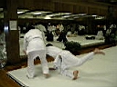 IMGP2108.JPG